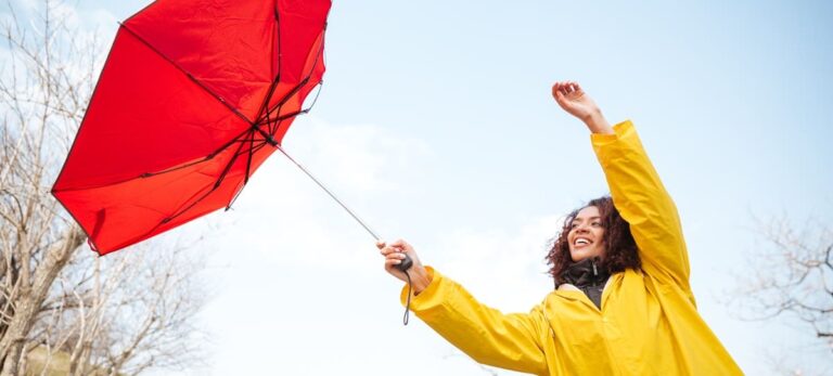 Что такое ветер и как он образуется?