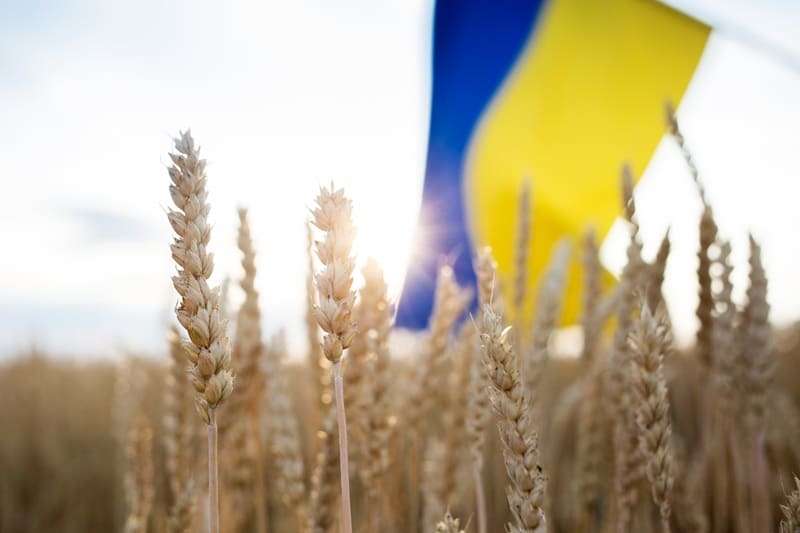 День української державності